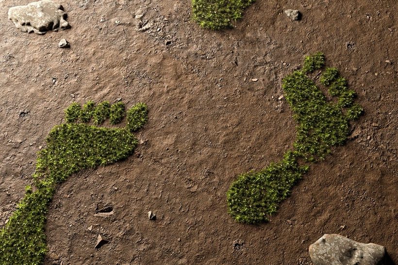 Grüne Fußabdrücke symbolisieren CO2-Ausgleich von thyssenkrupp Materials Services.