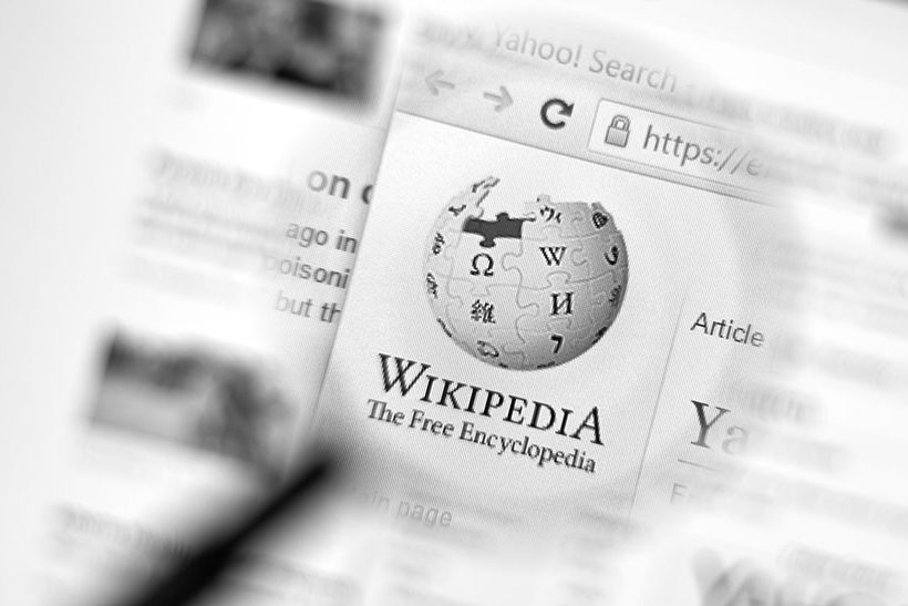 Das Bild zeigt einen Blick auf die Website der Wikipedia – der Ausschnitt mit der Lie ist vergrößert, der Rest unscharf.