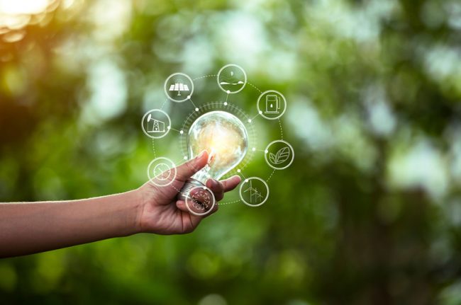 Grüne Glühbirne symbolisiert Montan-Stiftung-Saars Engagement für erneuerbare Energie (Symbolbild).