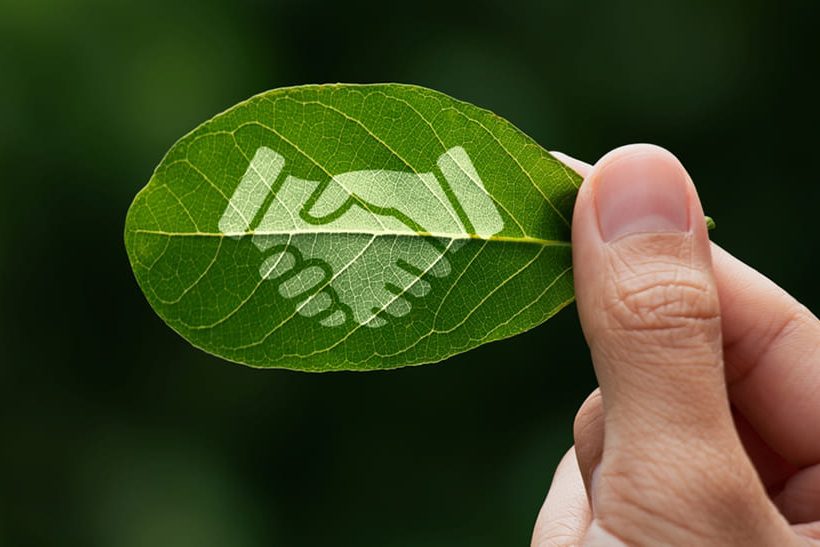 Das Foto zeigt am rechten Rand im Anschnitt die Hand eines weißen Menschen, die das grüne Blatt eines Baumes hält. Auf dem Blatt sind digital zwei sich schüttelnde Hände eingefügt. Das Symbolbild steht dafür, dass die SHS – Stahl-Holding-Saar nun Mitglied bei ResponsibleSteel ist.