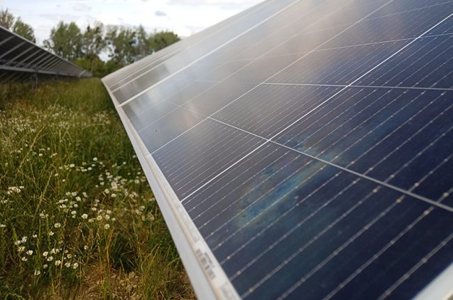 Der Salzgitter-Konzern (SZAG) schließt in Zusammenarbeit mit Pexapark einen zehnjährigen Stromabnahmevertrag (Power Purchase Agreement, PPA) mit Octopus Energy Generation. Das Bild zeigt Solarzellen auf einer Wiese.