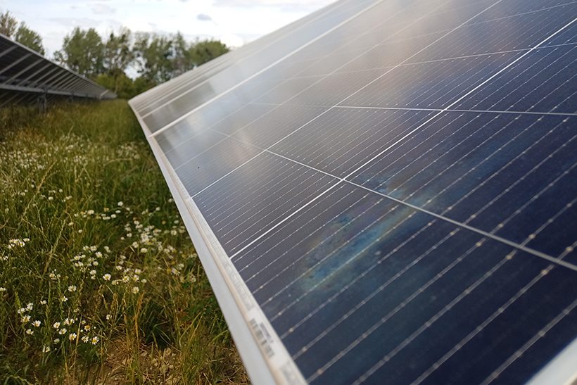 Der Salzgitter-Konzern (SZAG) schließt in Zusammenarbeit mit Pexapark einen zehnjährigen Stromabnahmevertrag (Power Purchase Agreement, PPA) mit Octopus Energy Generation. Das Bild zeigt Solarzellen auf einer Wiese.