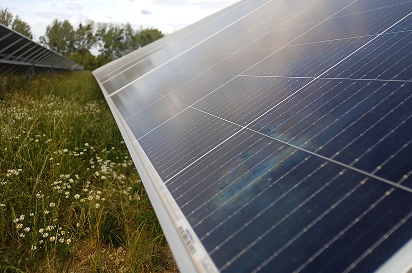 Der Salzgitter-Konzern (SZAG) schließt in Zusammenarbeit mit Pexapark einen zehnjährigen Stromabnahmevertrag (Power Purchase Agreement, PPA) mit Octopus Energy Generation. Das Bild zeigt Solarzellen auf einer Wiese.